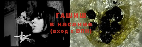 сатива Балахна